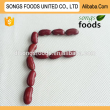 Factory Low Price Canned Red Kidney Beans